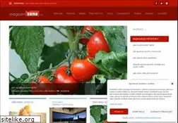 Sites similar to magazinzena.cz