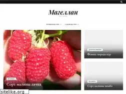Sites similar to magellan-agro.ru