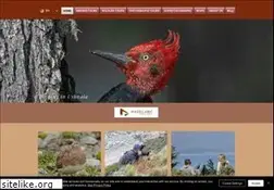 Sites similar to magellanicnaturetours.com