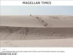 Sites similar to magellantimes.com