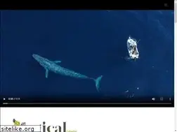 Sites similar to magicalcolombia.com