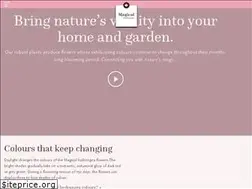Sites similar to magicalhydrangea.com