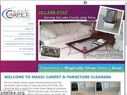 Sites similar to magicarpetcleaning.com