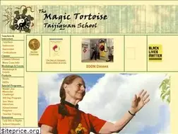 Sites similar to magictortoise.com