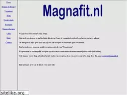 Sites similar to magnafit.nl