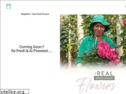 Sites similar to magnaflor.com