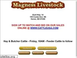 Sites similar to magness.info