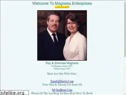 Sites similar to magnessenterprises.com