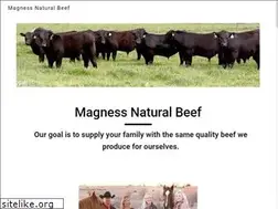 Sites similar to magnessnb.com