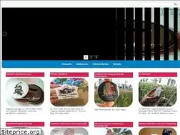 Sites similar to magnetacacak.com