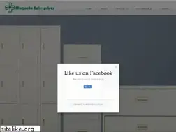 Sites similar to magnetoenterprises.com