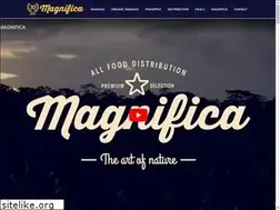 Sites similar to magnificafoods.com