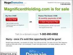 Sites similar to magnificentholding.com