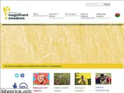 Sites similar to magnificentmeadows.org.uk