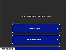 Sites similar to magnificientsport.com