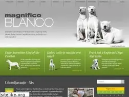Sites similar to magnificoblanco.com