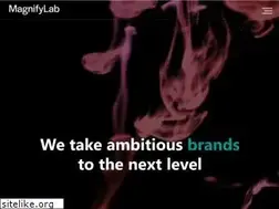 Sites similar to magnifylab.com