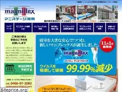 Sites similar to magnistage.com