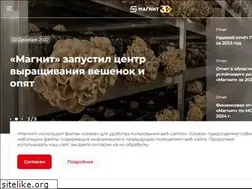 Sites similar to magnit.com