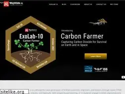 Sites similar to magnitude.io