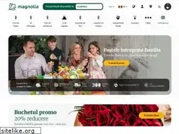 Sites similar to magnolia.ro