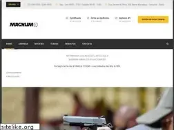 Sites similar to magnumarmas.com.br