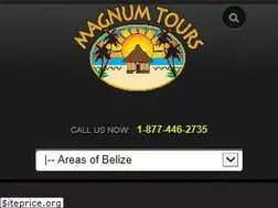 Sites similar to magnumbelize.com