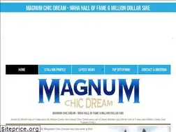 Sites similar to magnumchicdream.com