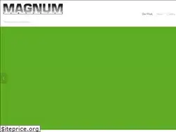 Sites similar to magnumcompanies.net