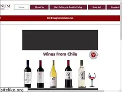 Sites similar to magnumventures.net
