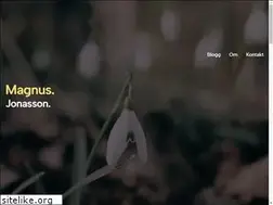 Sites similar to magnusjonasson.com