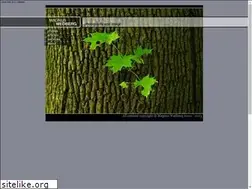 Sites similar to magnuswedberg.com