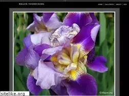 Sites similar to magon.org