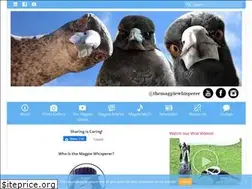 Sites similar to magpieaholic.com