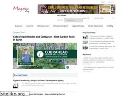 Sites similar to magzine.org