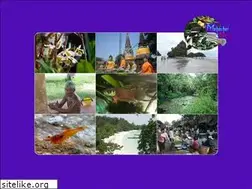 Sites similar to mahachai-tours.com
