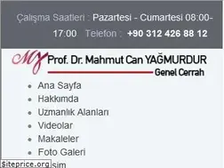 Sites similar to mahmutcanyagmurdur.com.tr