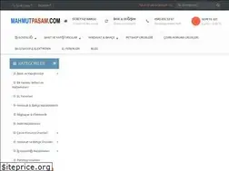 Sites similar to mahmutpasam.com