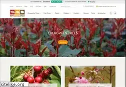 Sites similar to mailordertrees.co.uk