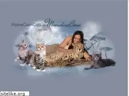 Sites similar to maine-coon-babys.com