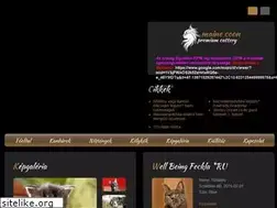 Sites similar to maine-coon.hu