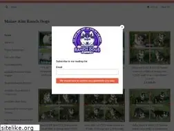 Sites similar to maineaimranchdogs.com