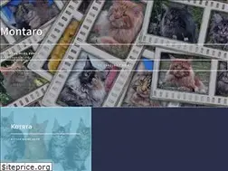 Sites similar to mainecoonmontaro.com