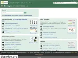Sites similar to maizesequence.org