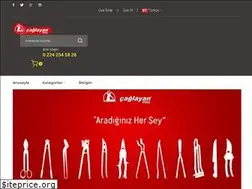 Sites similar to makasdunyasi.com.tr