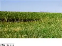 Sites similar to makitakits.com