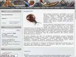 Sites similar to malacolog.com