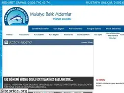 Sites similar to malatyabalikadamlar.com