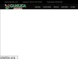 Sites similar to malatyacamlica.com