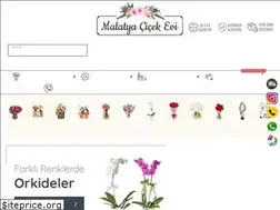 Sites similar to malatyacicekevi.com